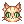 「时装」橘猫