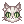 「时装」美国短毛猫