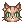 「时装」豹猫